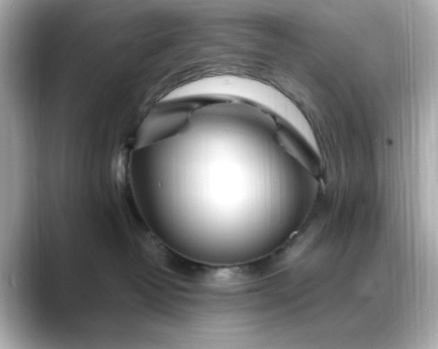 X0000088840382200706211837