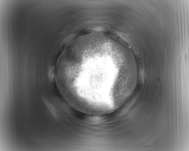 X0000088840383200706211837