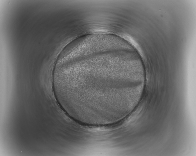 X0000088840385200706211837