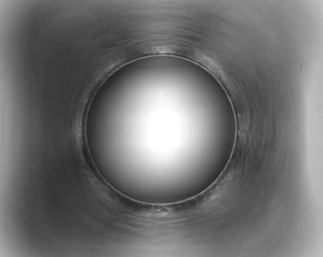 X0000088840386200706211837