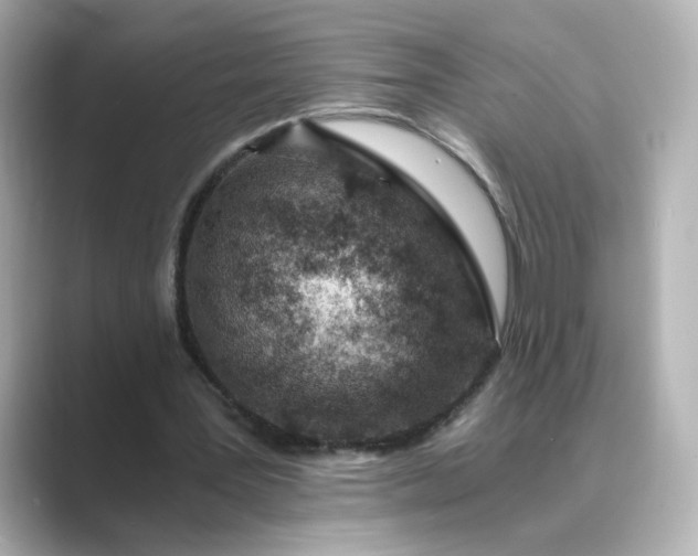 X0000088840387200706211837