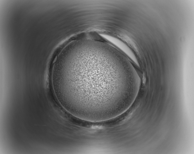 X0000088840388200706211837