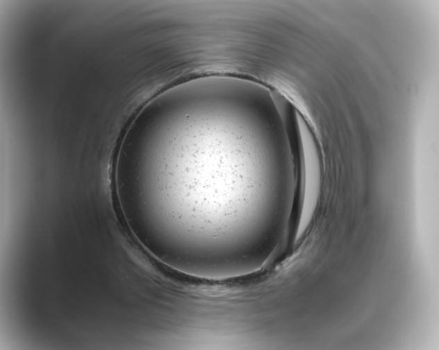 X0000088840389200706211837