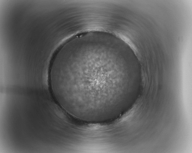 X0000088840391200706211837