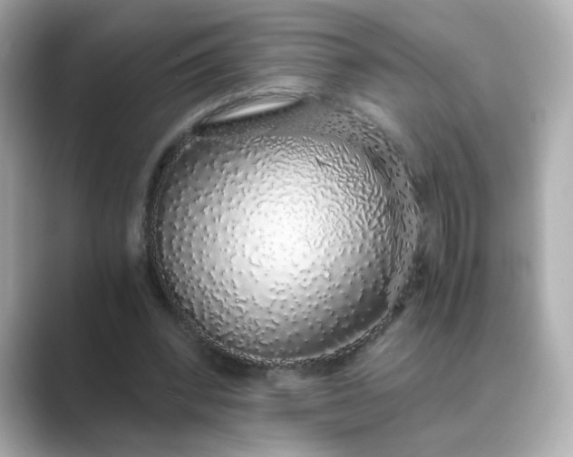 X0000088840392200706211837