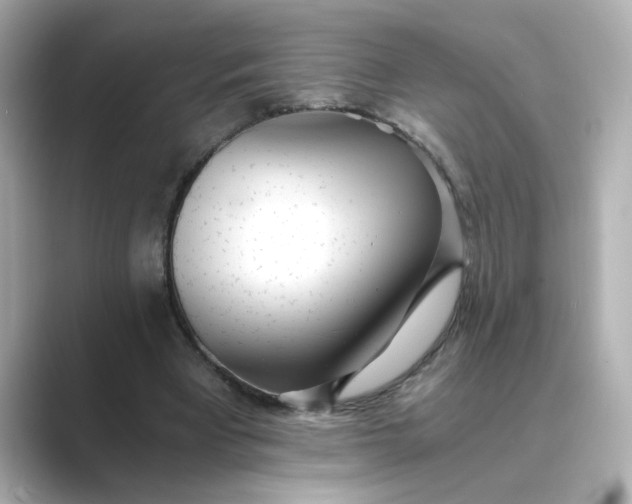 X0000088840393200706211837