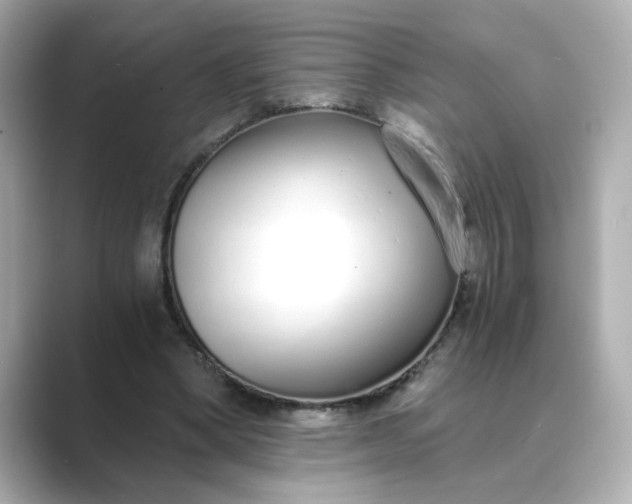 X0000088840394200706211837