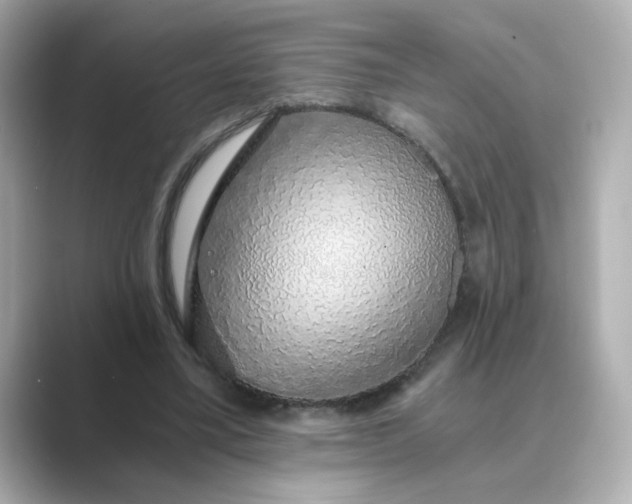 X0000088840395200706211837