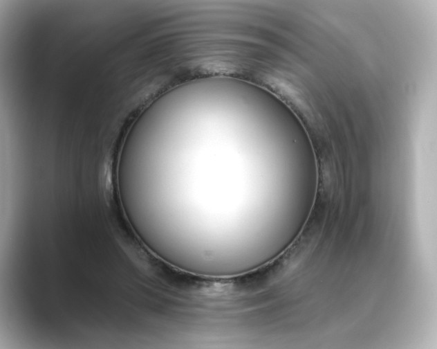 X0000088840398200706211837