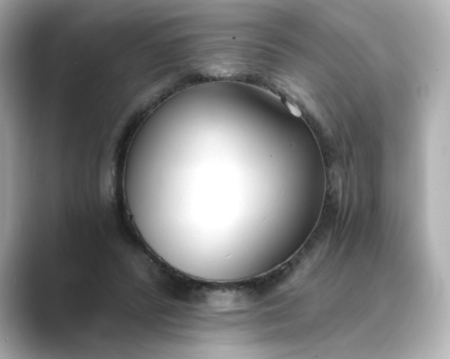 X0000088840400200706211837