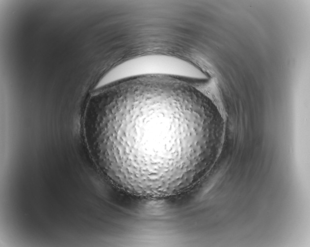 X0000088840401200706211837