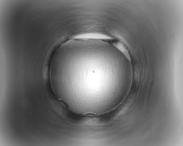 X0000088840403200706211837