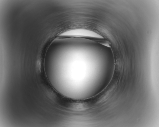 X0000088840404200706211837