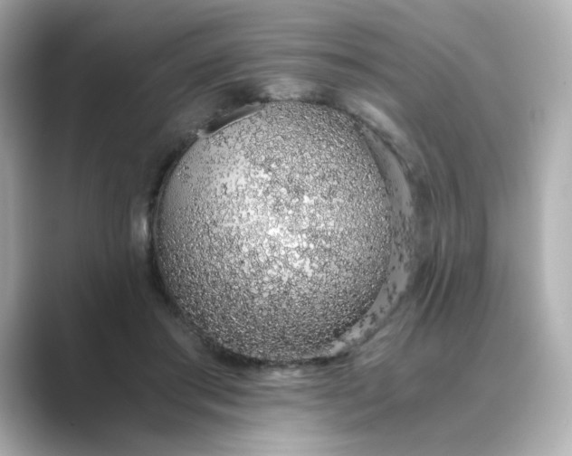 X0000088840405200706211836