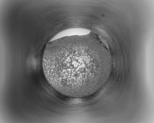 X0000088840409200706211836