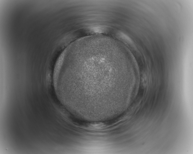 X0000088840410200706211836