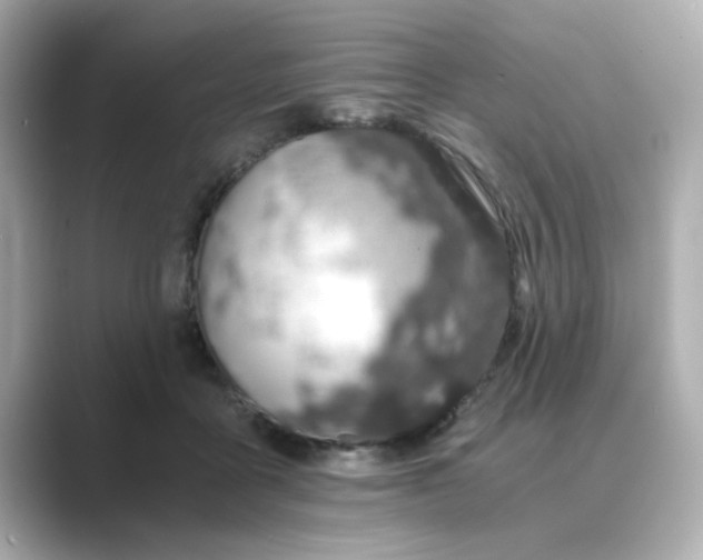 X0000088840411200706211836