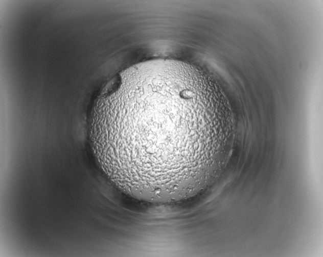 X0000088840413200706211836