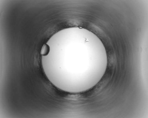 X0000088840414200706211836