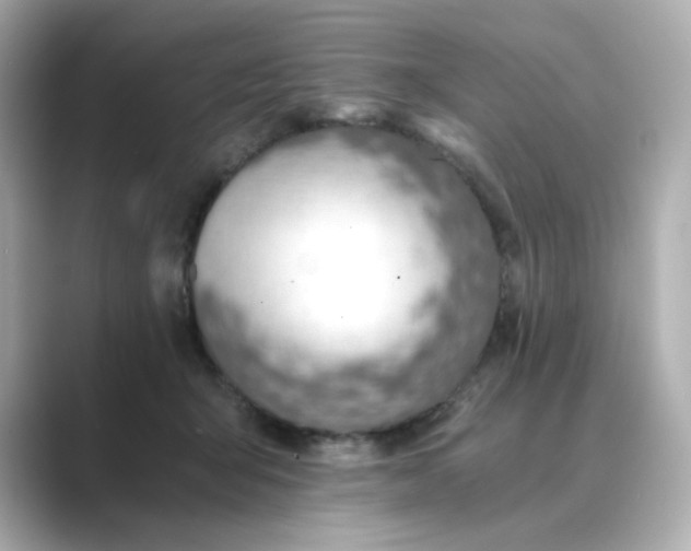 X0000088840415200706211836