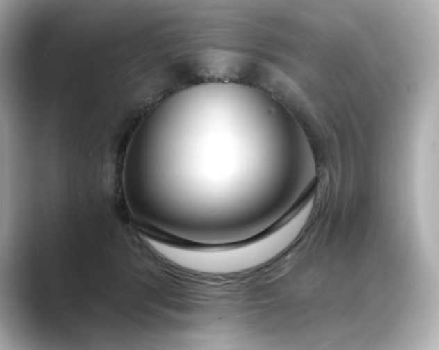 X0000088840416200706211836