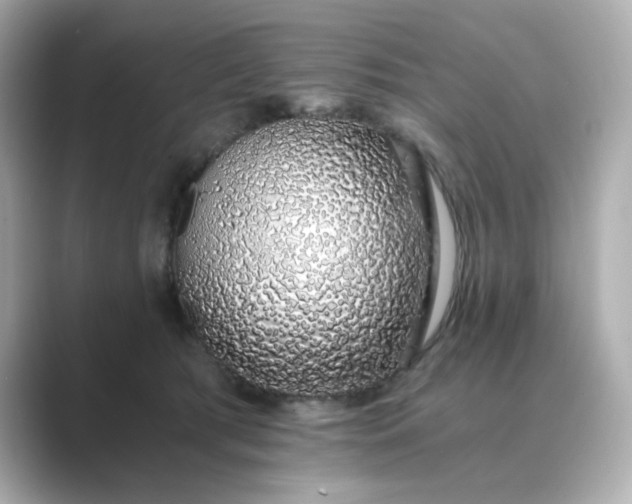 X0000088840417200706211836