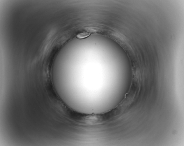 X0000088840418200706211836