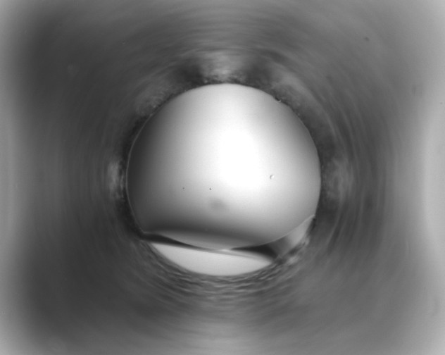 X0000088840420200706211836