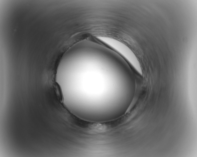 X0000088840421200706211836