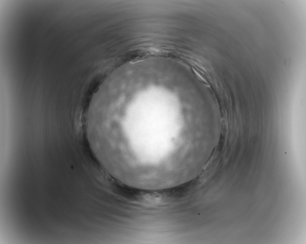 X0000088840423200706211836