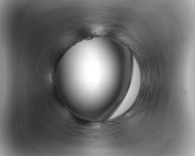 X0000088840424200706211836