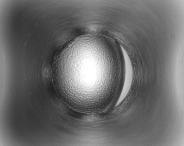 X0000088840425200706211836