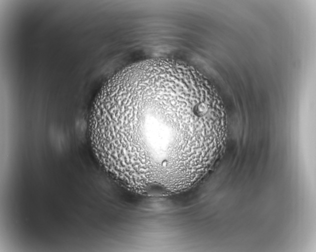 X0000088840427200706211836