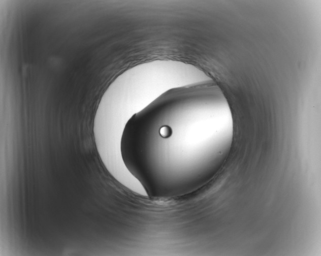 X0000088840432200706211836