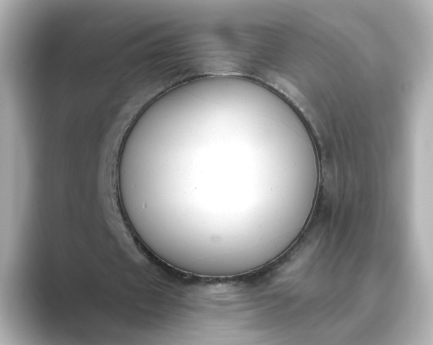 X0000088840433200706211836