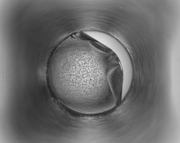 X0000088840434200706211836