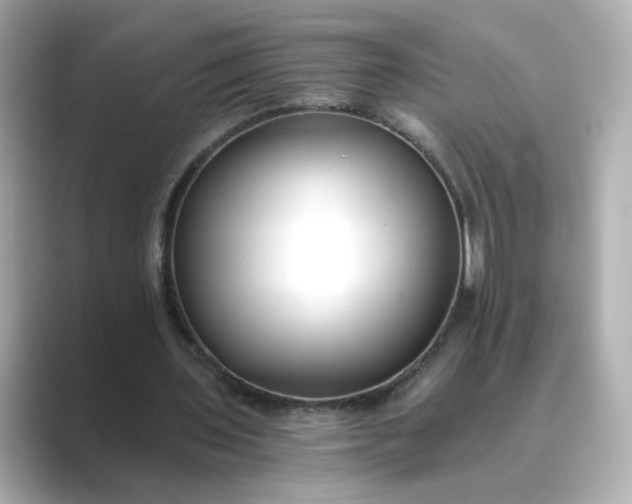 X0000088840435200706211836