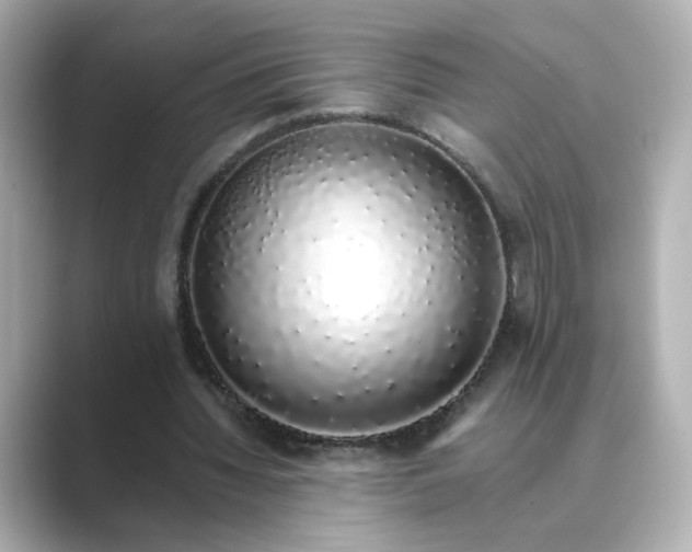 X0000088840436200706211836