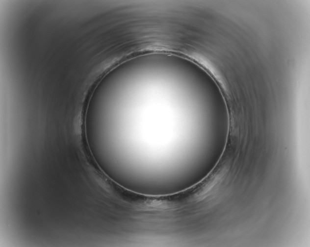 X0000088840437200706211836