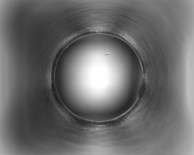 X0000088840438200706211836