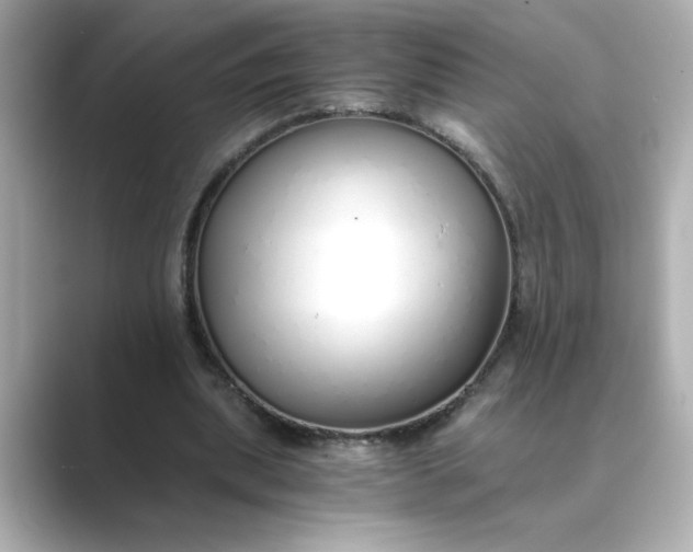 X0000088840439200706211836