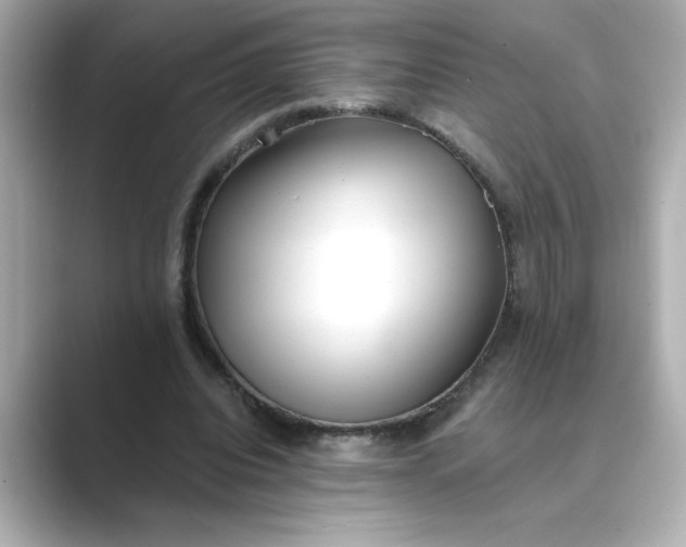 X0000088840440200706211836