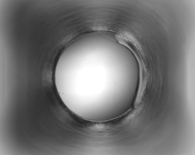 X0000088840441200706211836