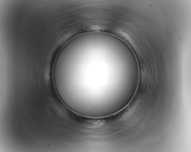 X0000088840443200706211836