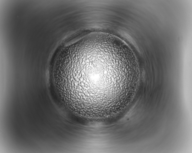 X0000088840444200706211836