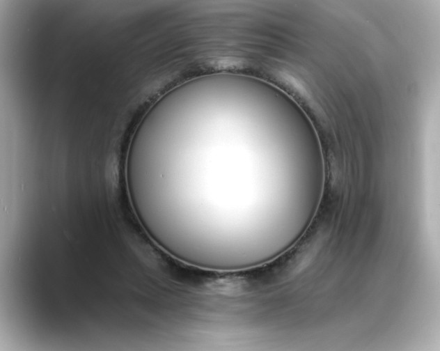 X0000088840447200706211836