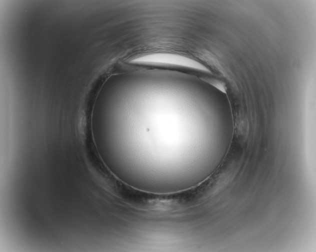 X0000088840448200706211836