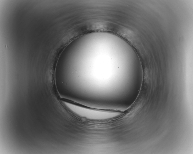 X0000088840449200706211836