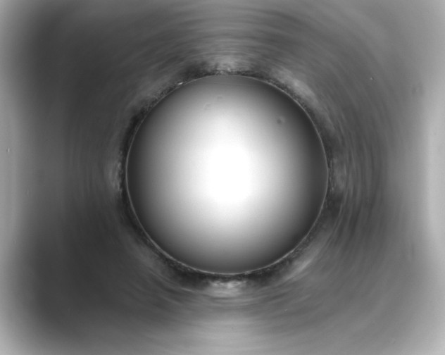 X0000088840450200706211836