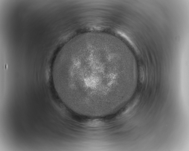 X0000088840451200706211836